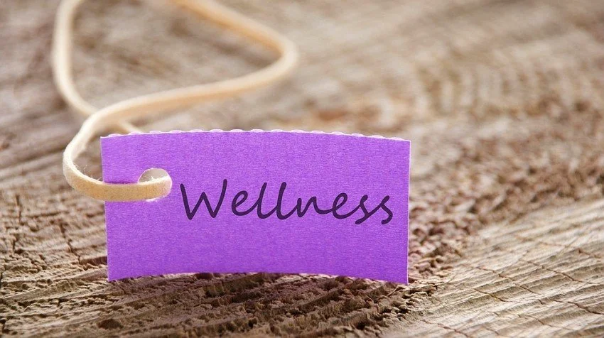 Components of Small Business Wellness
