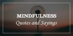 Mindfulness Quotes | Different Mindfulness Quotes