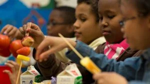 Why Are School Wellness Programs Important?