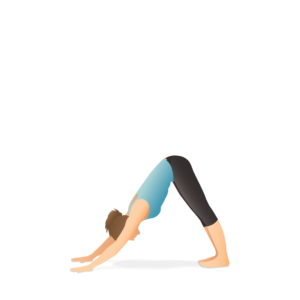 Downward-Facing Dog Pose