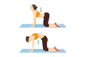 cat cow pose