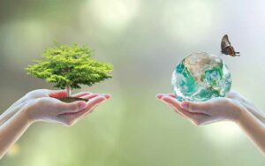 What Is Environmental Wellness