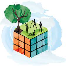 tips for environmental wellness