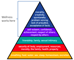 workplace health promotion programs