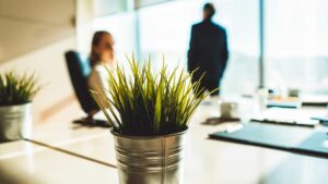 plants in office