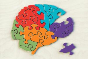 What Are Brain Exercises?