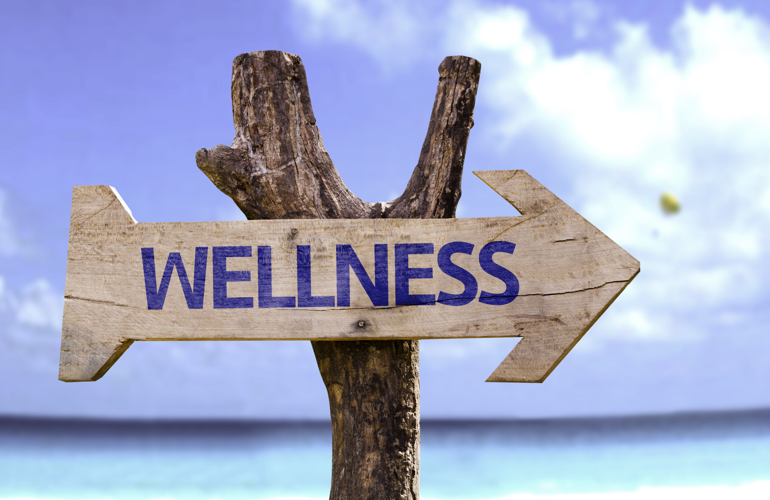 Types of Wellness Programs for Health Plans