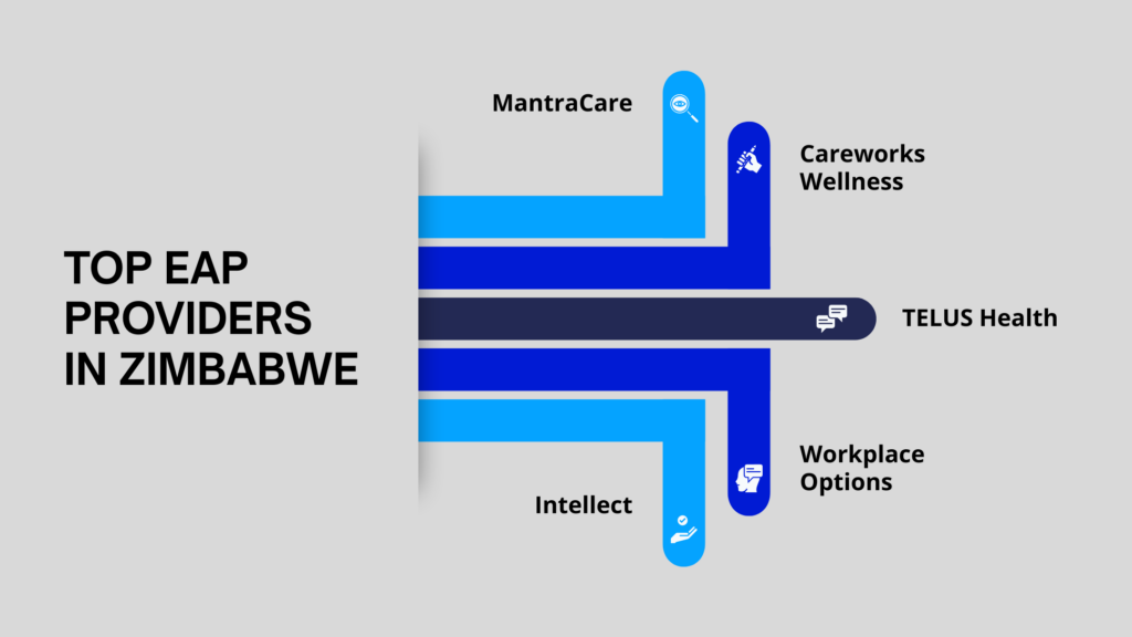 Best EAP Providers in Zimbabwe