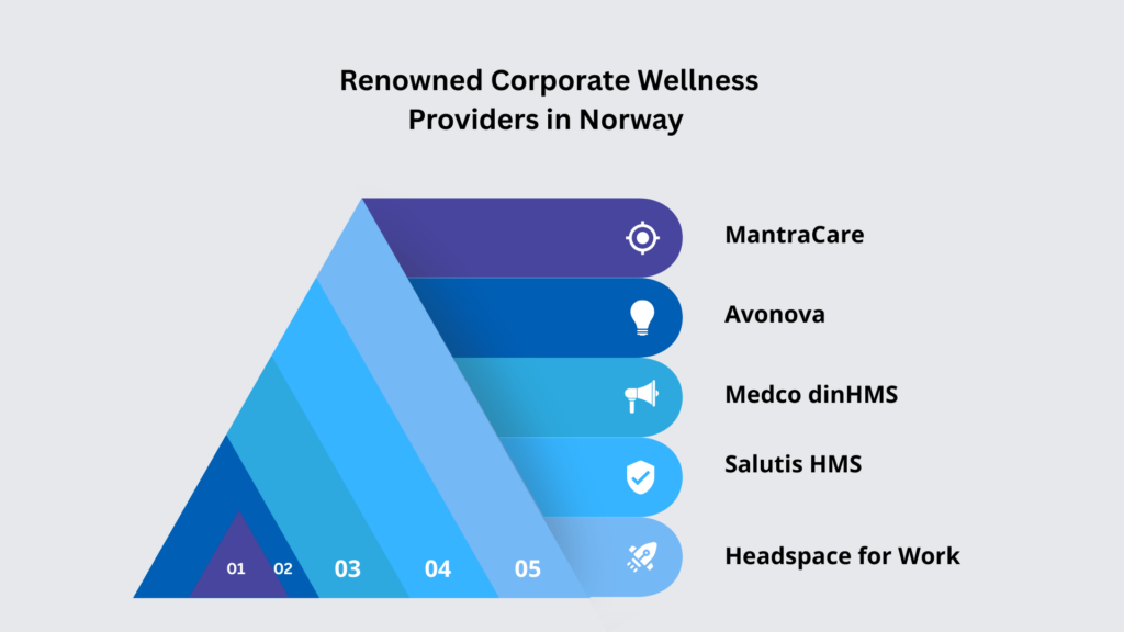 Renowned Corporate Wellness Providers in Norway