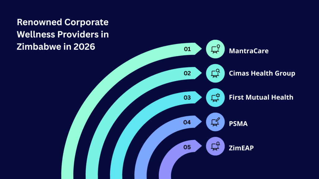 Renowned Corporate Wellness Providers in Zimbabwe in 2026